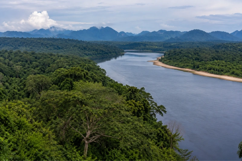 gabon