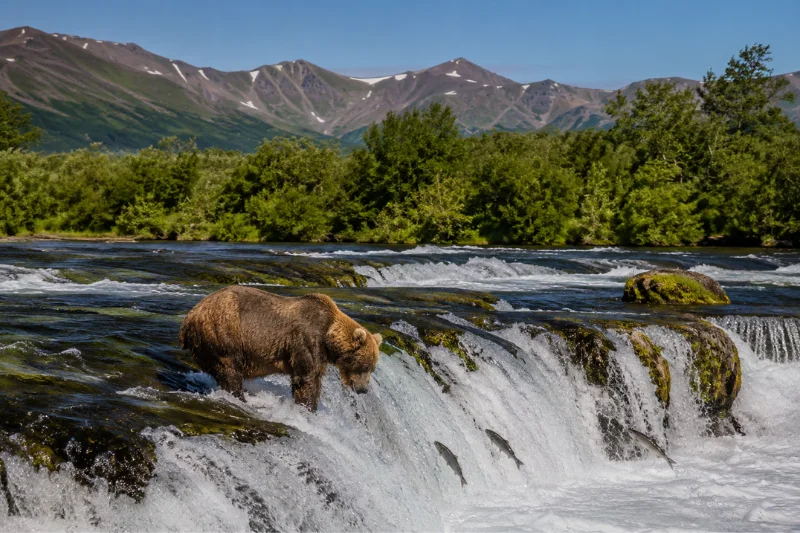 katmai national park, alaska, uSA